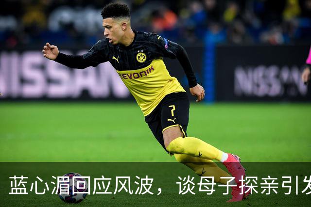 蓝心湄回应风波，谈母子探亲引发的幽默新解