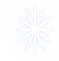 发现